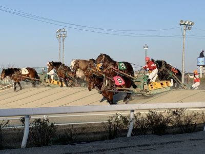 ド迫力のばんえい競馬